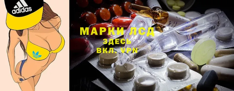 хочу наркоту  Шуя  МЕГА ссылка  ЛСД экстази кислота 